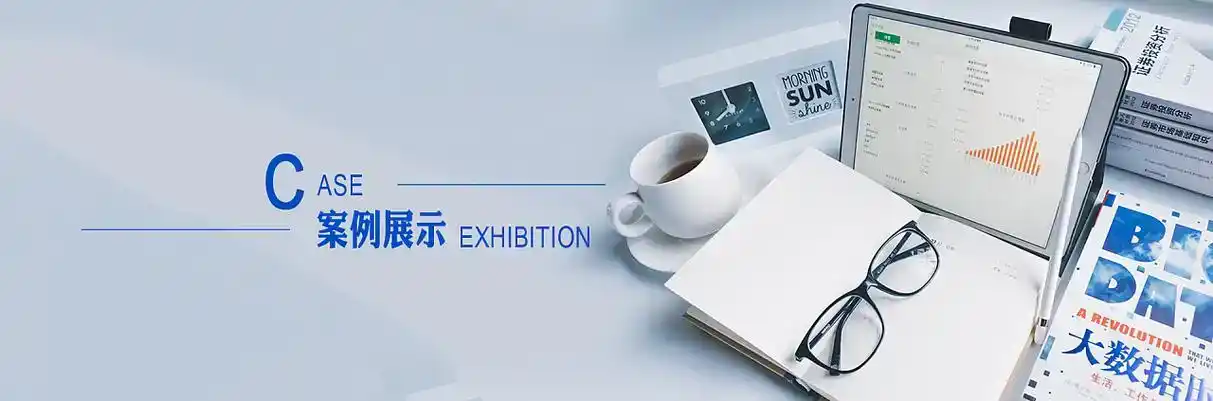 东辽县软件开发